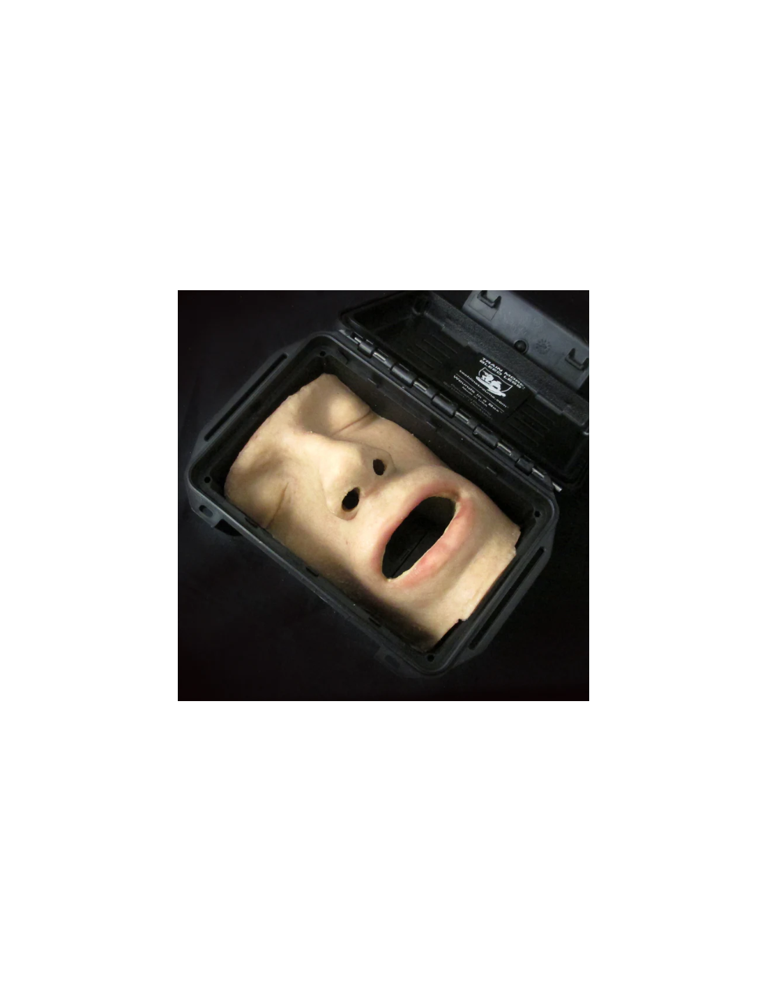 Nosies ertmės ir nosiaryklės simuliatorius NOSE IN A BOX™